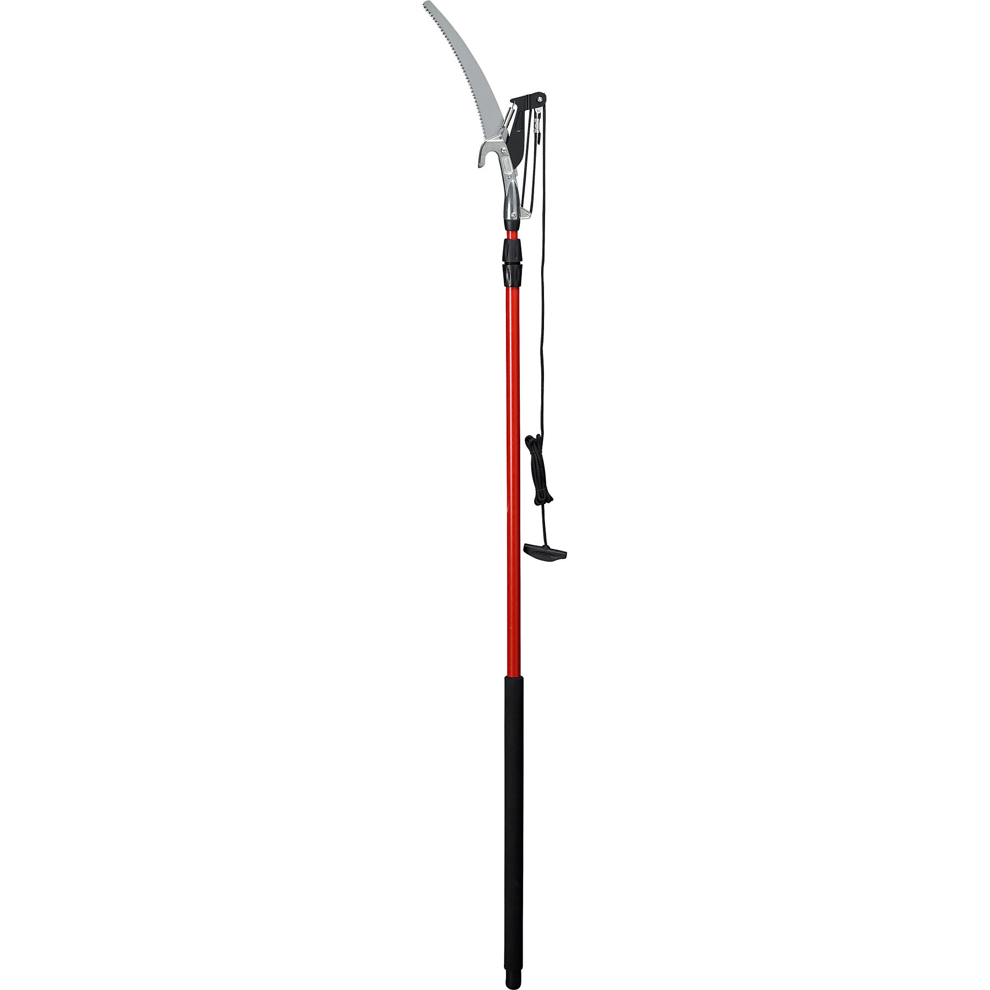 Corona Dual Compound-Action Tree Pruner with RazorTOOTH Saw® Blade, 12 ft. TP 6830